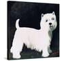 Westie, 1991-Maggie Rowe-Stretched Canvas