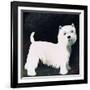 Westie, 1991-Maggie Rowe-Framed Giclee Print