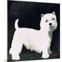 Westie, 1991-Maggie Rowe-Mounted Giclee Print