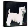 Westie, 1991-Maggie Rowe-Framed Stretched Canvas