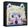 Westie - Chispy 2-Dawgart-Framed Stretched Canvas