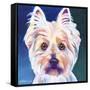 Westie Rockette-Dawgart-Framed Stretched Canvas