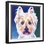 Westie Rockette-Dawgart-Framed Giclee Print