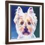 Westie Rockette-Dawgart-Framed Giclee Print