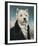 Westie With A Jabot-Thierry Poncelet-Framed Premium Giclee Print