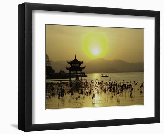 Westlake with Chineese Pavillon During Sunset, China-Ryan Ross-Framed Photographic Print