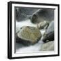 Westland National Park, South Island, New Zealand-Micha Pawlitzki-Framed Premium Photographic Print