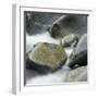 Westland National Park, South Island, New Zealand-Micha Pawlitzki-Framed Premium Photographic Print