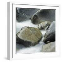 Westland National Park, South Island, New Zealand-Micha Pawlitzki-Framed Photographic Print