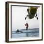 Westland Whirlwind Helicopter Making a Rescue, 1973-Michael Walters-Framed Photographic Print