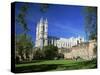 Westminster Abbey, from Dean's Yard, London, England-Alan Copson-Stretched Canvas