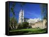 Westminster Abbey, from Dean's Yard, London, England-Alan Copson-Framed Stretched Canvas