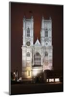 Westminster Abbey in the City of Westminster, London, England-David Bank-Mounted Photographic Print