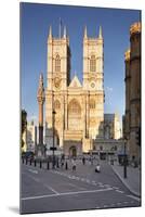 Westminster Abbey, UNESCO World Heritage Site, Westminster, London, England, United Kingdom, Europe-Markus Lange-Mounted Photographic Print