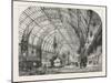 Westminster Aquarium and Winter Garden : the Central Hall, London, 1876, Uk-null-Mounted Giclee Print