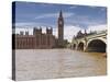 Westminster Bridge and the Houses of Parliament, Westminster, London, England, UK, Europe-Julian Elliott-Stretched Canvas