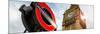 Westminster Underground Sign - Subway Station Sign - Big Ben - City of London - UK - England-Philippe Hugonnard-Mounted Photographic Print