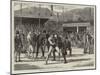 Westmoreland Sports, Heavy Wrestling, Grasmere-Basil Bradley-Mounted Giclee Print