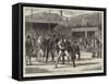 Westmoreland Sports, Heavy Wrestling, Grasmere-Basil Bradley-Framed Stretched Canvas