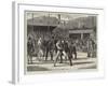 Westmoreland Sports, Heavy Wrestling, Grasmere-Basil Bradley-Framed Giclee Print