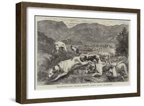 Westmoreland Sports, Hound Trial Race, Grasmere-Basil Bradley-Framed Giclee Print