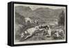 Westmoreland Sports, Hound Trial Race, Grasmere-Basil Bradley-Framed Stretched Canvas