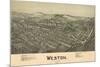 Weston, West Virginia - Panoramic Map-Lantern Press-Mounted Premium Giclee Print