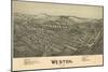 Weston, West Virginia - Panoramic Map-Lantern Press-Mounted Art Print