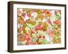 Westonbirt Arboretum in autumn, Gloucestershire, UK-Nadia Isakova-Framed Photographic Print