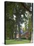 Westover Plantation, Tulip Poplars, Charles City County, Virginia, USA-Charles Gurche-Stretched Canvas