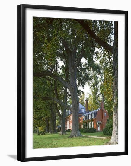 Westover Plantation, Tulip Poplars, Charles City County, Virginia, USA-Charles Gurche-Framed Premium Photographic Print