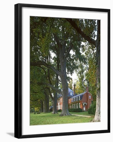 Westover Plantation, Tulip Poplars, Charles City County, Virginia, USA-Charles Gurche-Framed Photographic Print