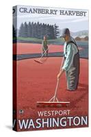 Westport, Washington - Cranberry Bog Harvest-Lantern Press-Stretched Canvas