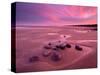 Westward Ho! beach at sunrise, Devon, UK-Ross Hoddinott-Stretched Canvas