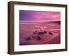 Westward Ho! beach at sunrise, Devon, UK-Ross Hoddinott-Framed Photographic Print