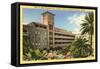 Westward Ho Resort, Phoenix, Arizona-null-Framed Stretched Canvas