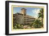 Westward Ho Resort, Phoenix, Arizona-null-Framed Art Print