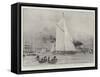 Westward Ho, the Shamrock Starting for New York to Compete for the America Cup-William Lionel Wyllie-Framed Stretched Canvas