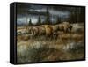 Wet and Stormy-Trevor V. Swanson-Framed Stretched Canvas