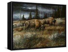 Wet and Stormy-Trevor V. Swanson-Framed Stretched Canvas