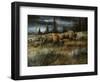 Wet and Stormy-Trevor V. Swanson-Framed Giclee Print