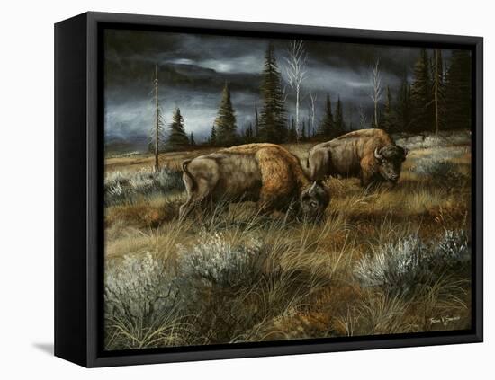 Wet and Stormy-Trevor V. Swanson-Framed Stretched Canvas