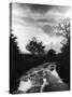 Wet Country Lane-null-Stretched Canvas