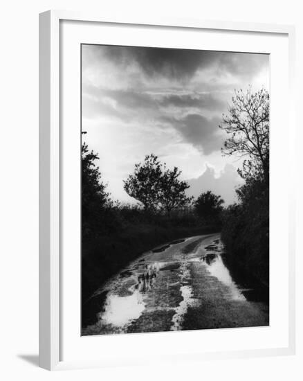 Wet Country Lane-null-Framed Photographic Print