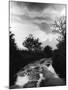 Wet Country Lane-null-Mounted Photographic Print