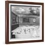 Wet Dreams-Thomas Barbey-Framed Giclee Print