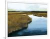 Wet Lands I-Norman Wyatt Jr.-Framed Art Print