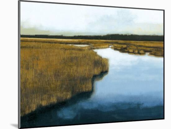 Wet Lands I-Norman Wyatt Jr.-Mounted Art Print