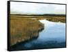 Wet Lands I-Norman Wyatt Jr.-Framed Stretched Canvas