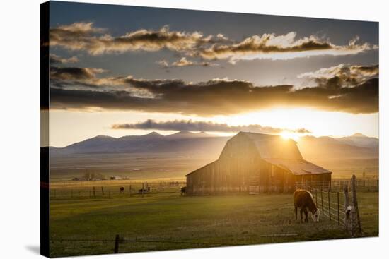 Wet Mountain Barn I-Dan Ballard-Stretched Canvas